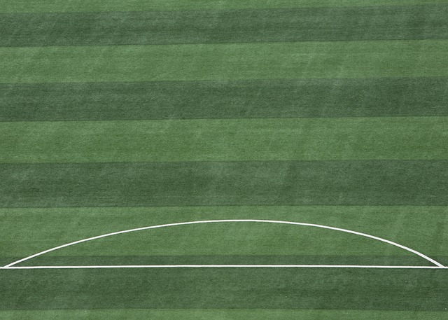 卓越的得分 卓越的得分