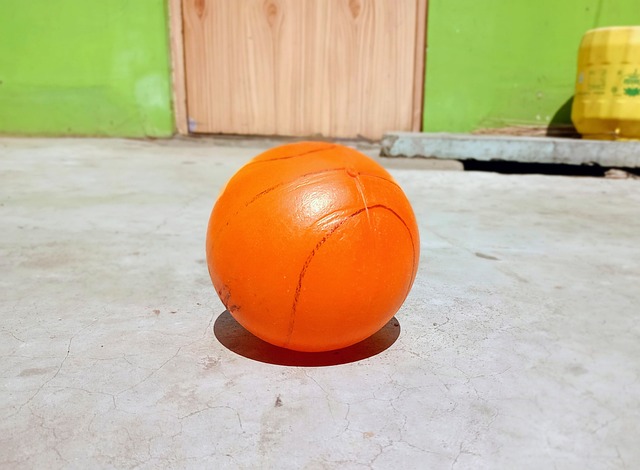 申京和队友 申京和队友