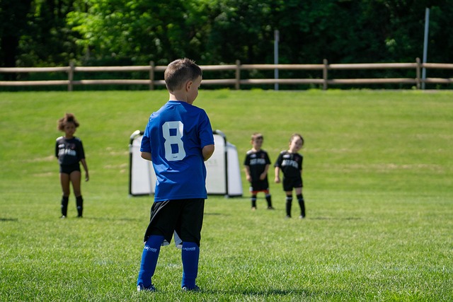 东部崛起 东部崛起