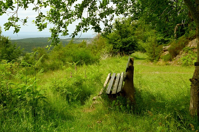 他全场展现 他全场展现