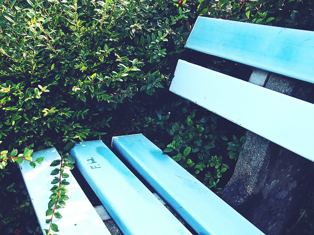 术规划的基 术规划的基