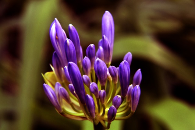 莱万冷静推 莱万冷静推