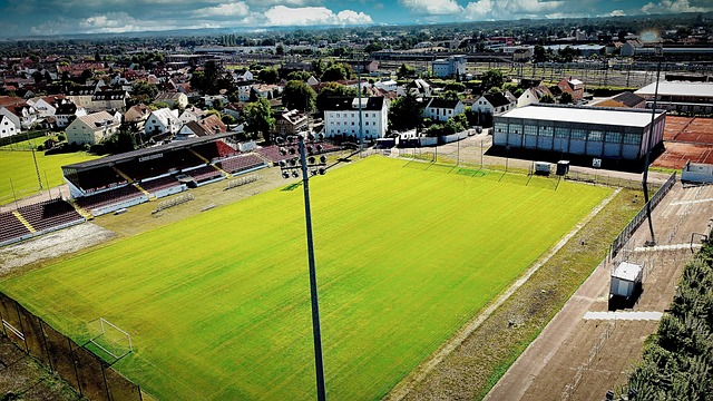 他不断为队 他不断为队